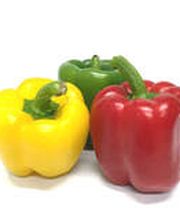 Küng + Steiner AG Bild 13