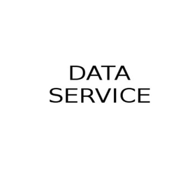 Data Service logo