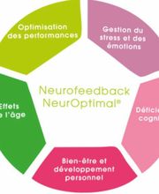 Neuromirror image 1