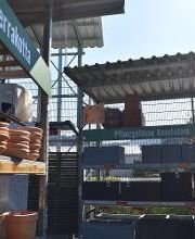 Gartencenter HORNBACH Luzern-Littau Bild 3