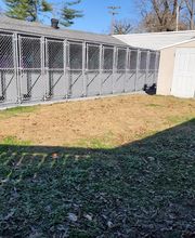 Pet Paradise image 14