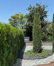 Daily Gartenpflege Bild 13