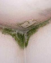 Wagner Maler GmbH Bild 4