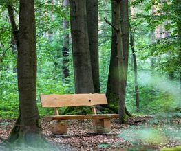 FriedWald Bernau bei Berlin Bild 9
