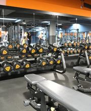 Basic-Fit Ladies afbeelding 1