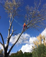 A La Hauteur Des Cimes image 6