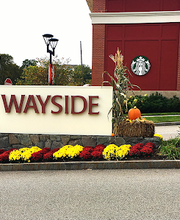 Cassidy Landscaping & Masonry image 14