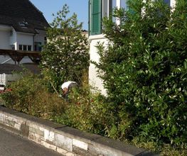 Schneider Garten Bild 3