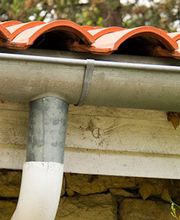 Rabaux xavier image 1