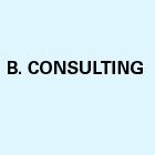 B Consulting