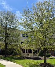 Arbour Square of Harleysville image 17
