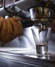 Gallery Professionale