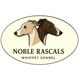 Noble Rascals Whippet