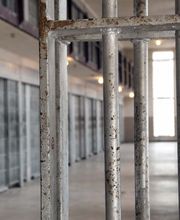 Gomila Formación imagen 1