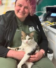 Epic Tails Veterinary Clinic image 9