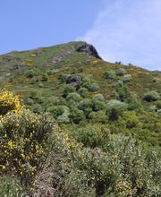 Estival Karine image 3