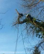 Dehaye Espaces Verts image 8