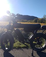 LM FatBikes image 3