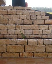 Garten- und Landschaftsbau Hofmann Rainer Inh. Luan Qufaj Bild 8