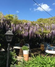 La Fontaine image 19