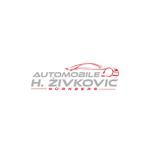 Automobile H. Zivkovic