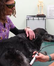 Carbon County Veterinary Hospital image 14