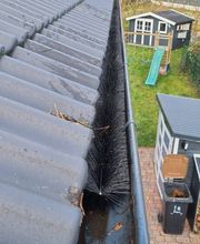 Der Gartenpionier Bild 11