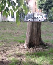 Gallery Professionale