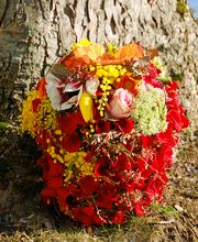 TrauerLichtung Bestattungen in Frauenhänden Inh. Claudia Bartholdi e.K. Bild 4