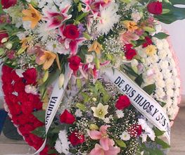 funerariaauxibio2.png