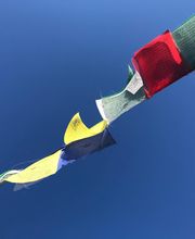 Bodensee TCM - Institut für Chinesische Medizin, Ernährungsmedizin, Meditation & Bewusstsein Session Bild 1