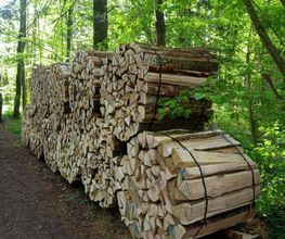 Scheidegger Forstunternehmung GmbH Bild 3