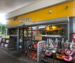 Shell afbeelding 3