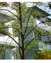 Wohnungsgenossenschaft Wiesa eG Bild 1