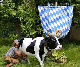 dd Eventmodul-vermietung Bild 9