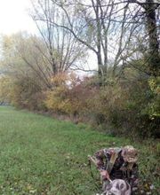 Mugello Tartufi immagine 7