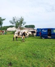 ClinicVet Vétérinaire Foucarmont image 1