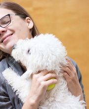 TotalBond Veterinary Hospital at Bethel image 14