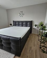 Maler Petarra GmbH Bild 4