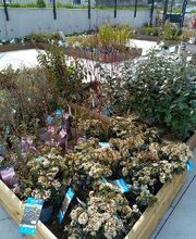 Bricomarché La Charité-Sur-Loire image 12