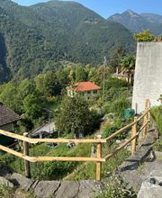 ONSFOREST Sagl Bild 8