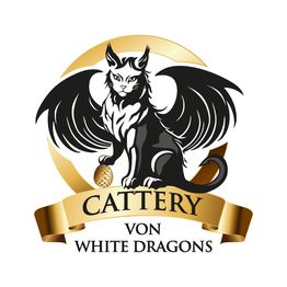Von White Dragons