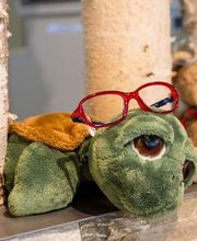 SichtArt Optik AG Bild 11