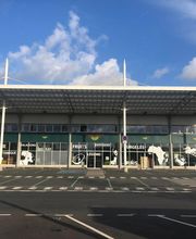 Tropic Island Sarl image 8