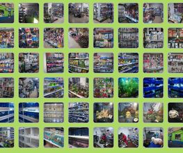 galeriazootropic.jpg