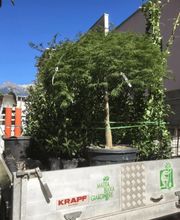 Biava Mattia - Giardiniere paesaggista Bild 13