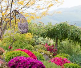 Bernet Gartenbau AG Bild 7