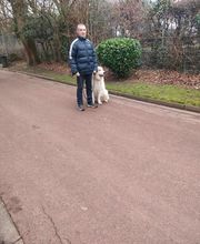 Antonio Rita Educateur et Comportementaliste canin image 7