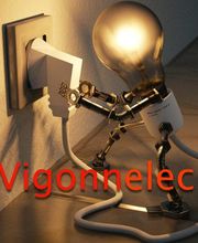 Vigonnelec image 4
