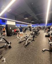 Gimnasio VivaGym Vega Plaza imagen 7